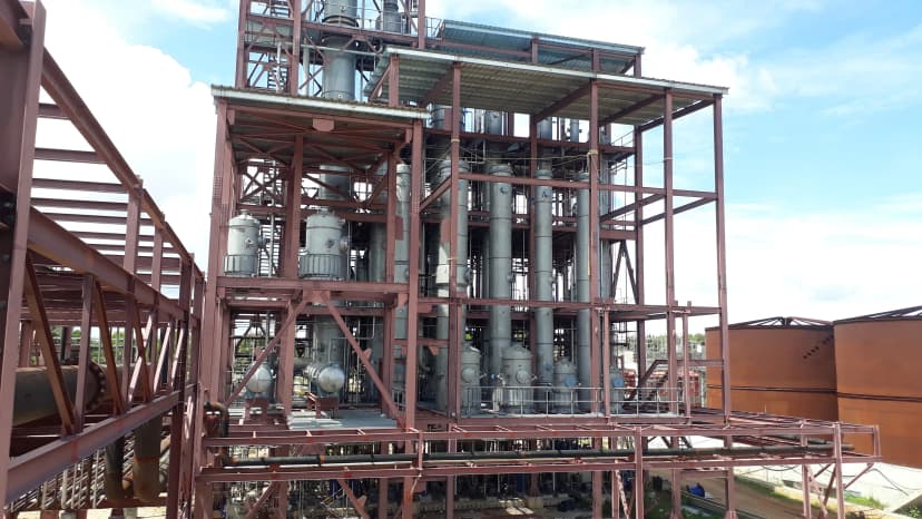 Macro photography of nature